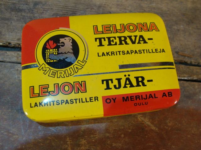 Terva leijona- aski